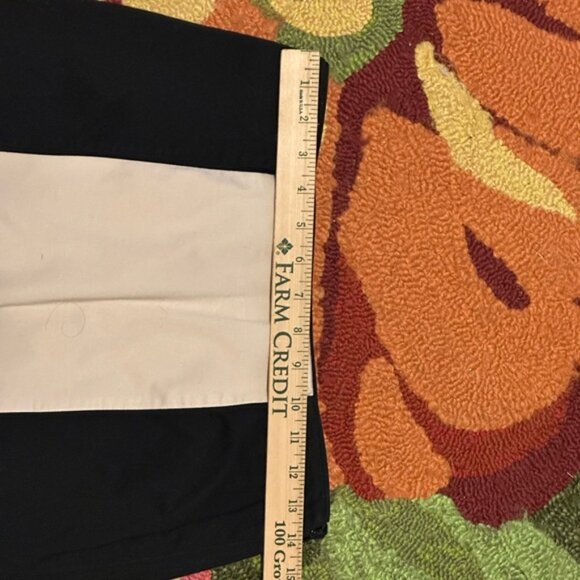 WHBM Skirt - Picture 2 of 2